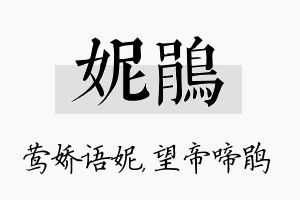 妮鹃名字的寓意及含义