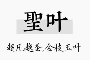 圣叶名字的寓意及含义