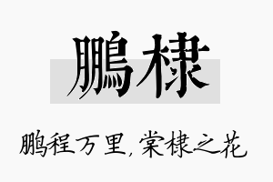 鹏棣名字的寓意及含义