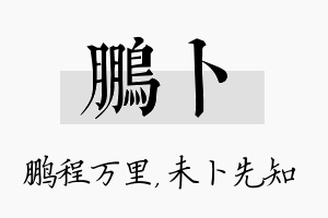 鹏卜名字的寓意及含义