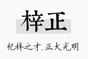 梓正名字的寓意及含义