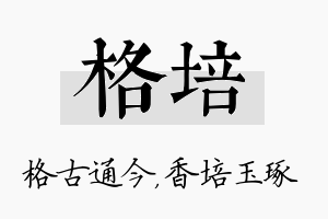 格培名字的寓意及含义