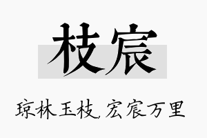 枝宸名字的寓意及含义