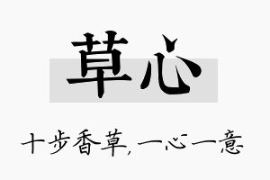 草心名字的寓意及含义