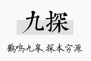 九探名字的寓意及含义