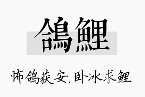 鸽鲤名字的寓意及含义