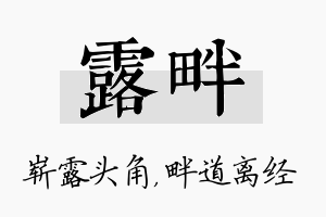 露畔名字的寓意及含义