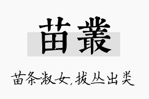 苗丛名字的寓意及含义