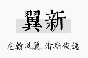 翼新名字的寓意及含义