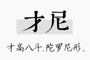 才尼名字的寓意及含义