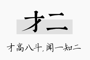 才二名字的寓意及含义