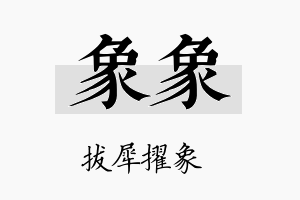 象象名字的寓意及含义