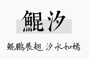 鲲汐名字的寓意及含义