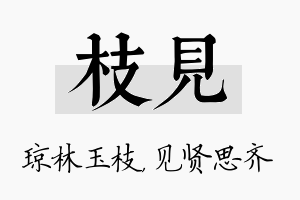 枝见名字的寓意及含义