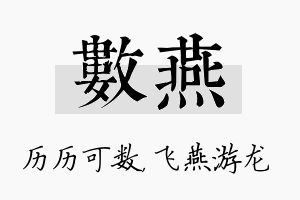 数燕名字的寓意及含义