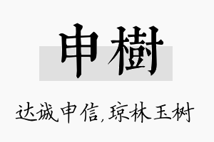 申树名字的寓意及含义