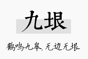 九垠名字的寓意及含义