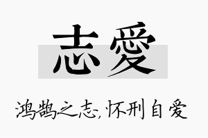 志爱名字的寓意及含义