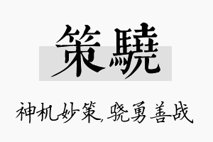 策骁名字的寓意及含义