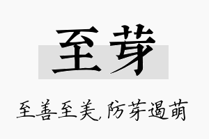 至芽名字的寓意及含义