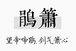 鹃箫名字的寓意及含义