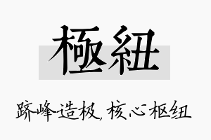 极纽名字的寓意及含义