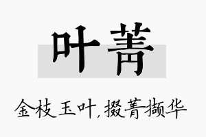 叶菁名字的寓意及含义