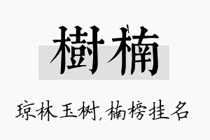 树楠名字的寓意及含义