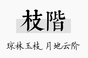 枝阶名字的寓意及含义