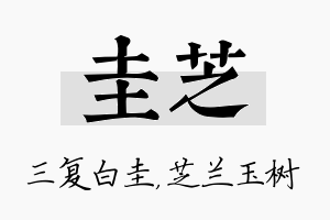 圭芝名字的寓意及含义