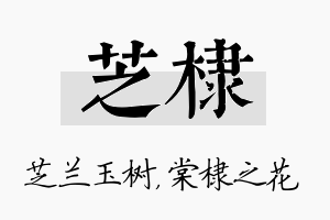 芝棣名字的寓意及含义