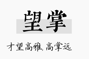 望掌名字的寓意及含义