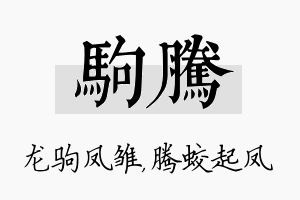 驹腾名字的寓意及含义