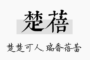 楚蓓名字的寓意及含义