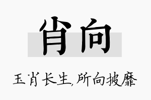 肖向名字的寓意及含义