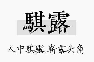 骐露名字的寓意及含义