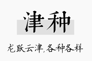 津种名字的寓意及含义