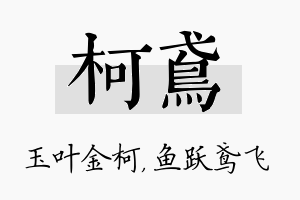 柯鸢名字的寓意及含义