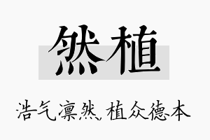 然植名字的寓意及含义