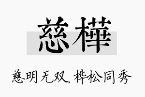 慈桦名字的寓意及含义