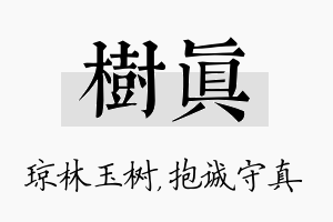 树真名字的寓意及含义