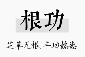 根功名字的寓意及含义