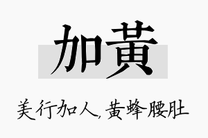 加黄名字的寓意及含义