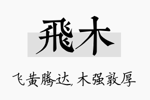 飞木名字的寓意及含义