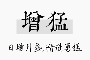 增猛名字的寓意及含义