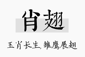 肖翅名字的寓意及含义