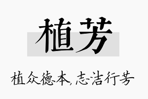 植芳名字的寓意及含义