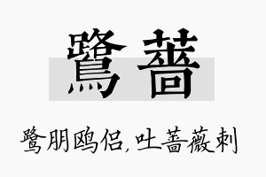 鹭蔷名字的寓意及含义