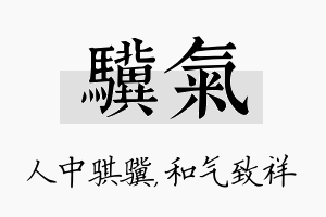 骥气名字的寓意及含义