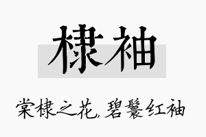 棣袖名字的寓意及含义